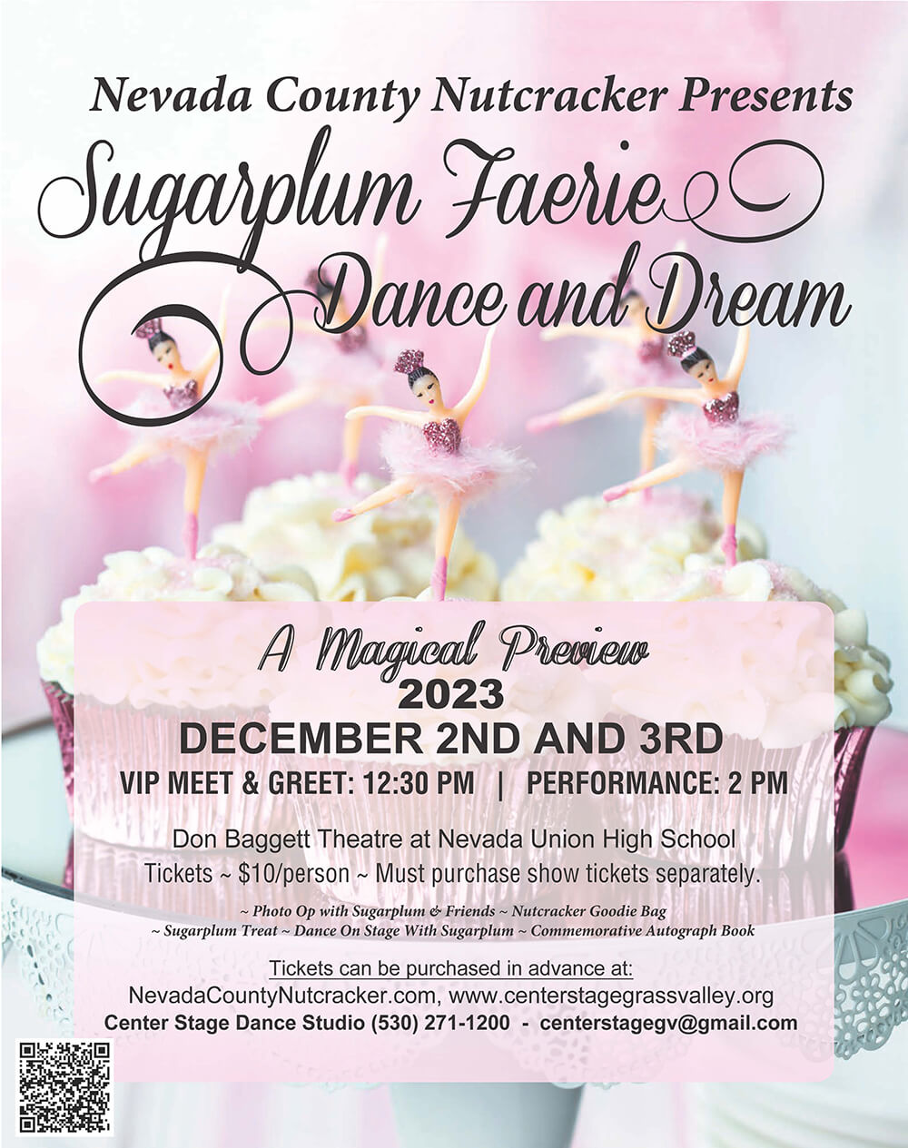 sugar plum faerie dance and dream poster